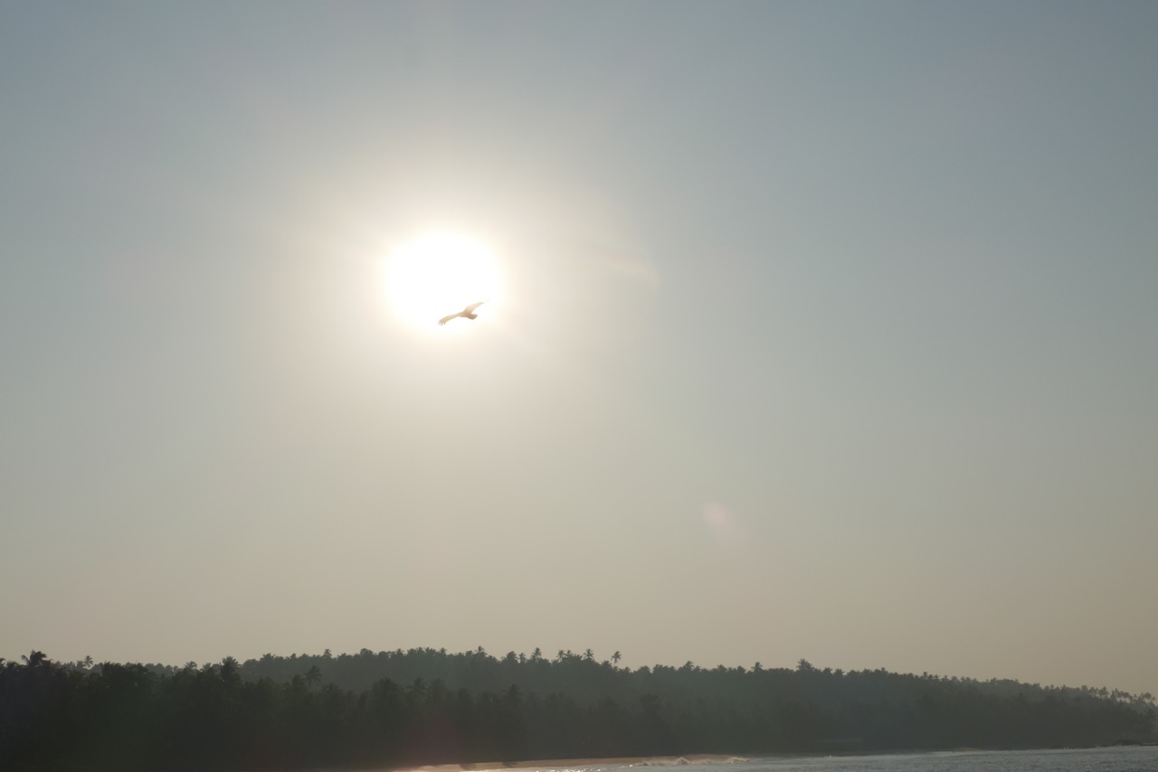 How Did All This Happen?