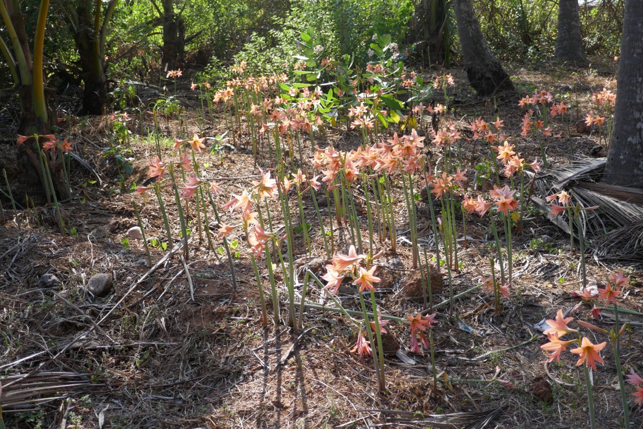 How Did All This Happen?