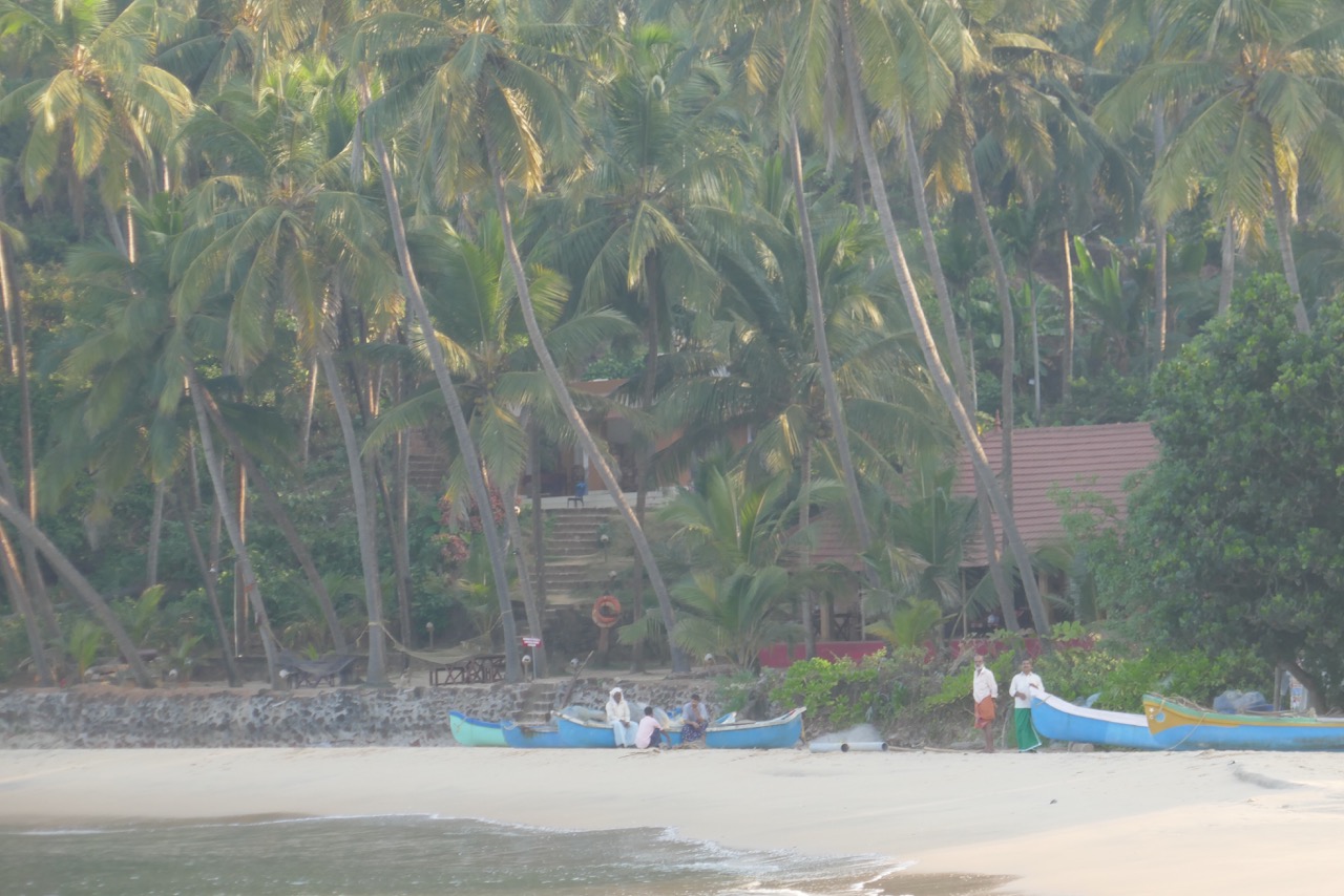 How Did All This Happen?