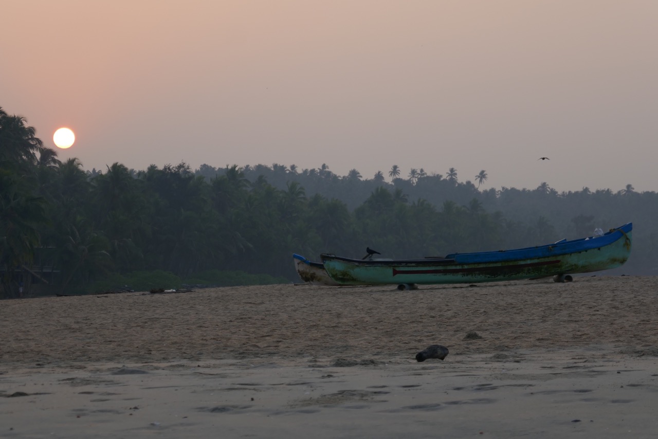 How Did All This Happen?