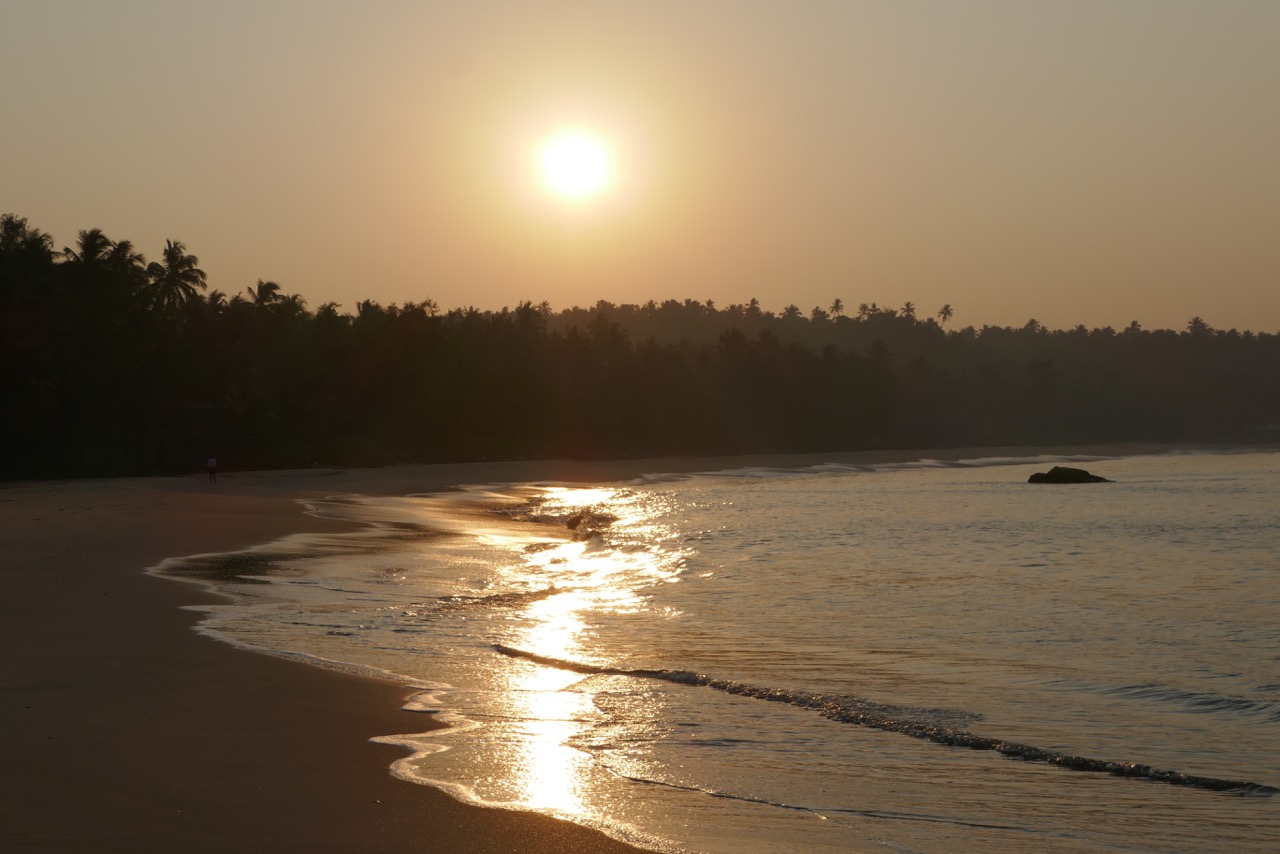 How Did All This Happen?